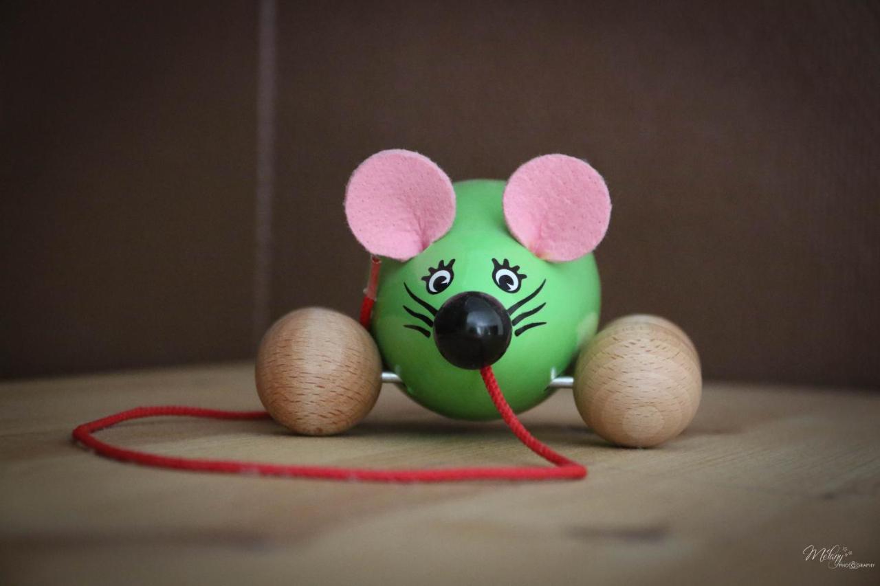 Gite De La Souris Verte Molamboz Kültér fotó